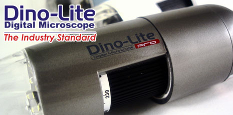 Visitez la boutique Dino Lite