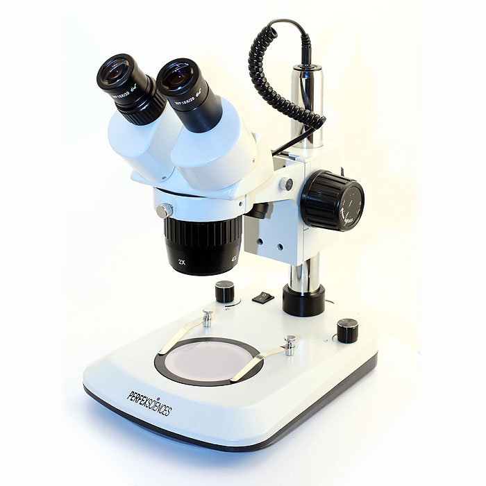 Loupe Binoculaire PERFEX Sciences Sc 4.0 LED Perfex Sciences Boutique