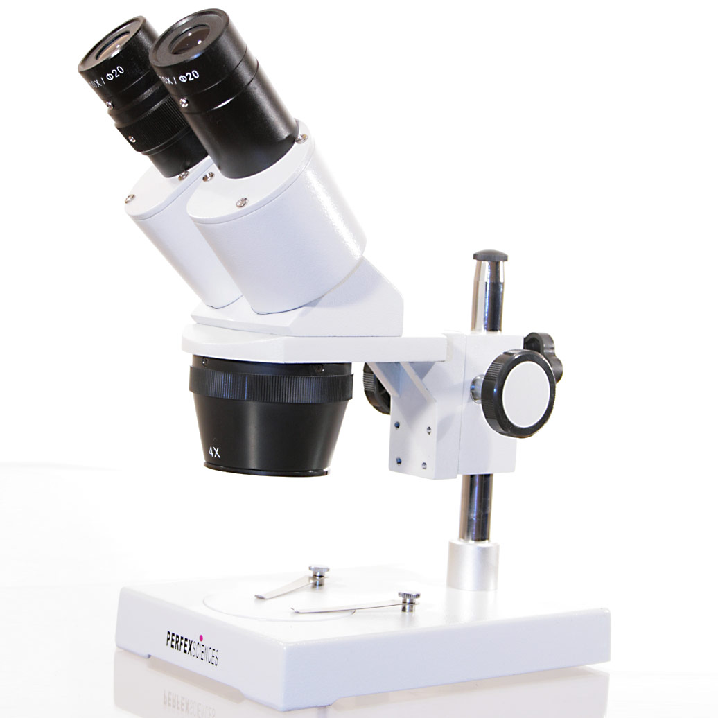 Loupe Binoculaire Motic at Pauline Aldridge blog