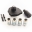 Perfex Sciences Kit de Contraste de Phase Complet