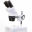 Perfex Sciences Loupe Binoculaire PERFEX Edu 1.0