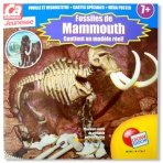 �a m'int�resse&nbsp;Fossiles de Mammouth �A M'INTERESSE