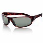 Boll�&nbsp;Lunettes solaire BOLLE Anaconda Dark Tortoise Polarized