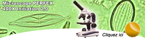 Microscope PERFEX 400X Initiation 2.0