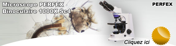 Microscope PERFEX Binoculaire 1000X Sc4