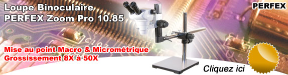 Loupe Binoculaire PERFEX Zoom Pro 10.85