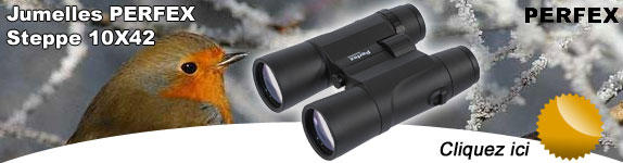 Jumelles PERFEX Steppe 10X42