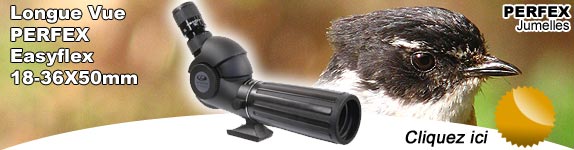 Longue Vue PERFEX Easyflex 18-36X50