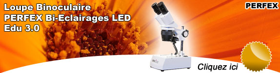 Loupe Binoculaire PERFEX Bi-Eclairages LED Edu 3.0