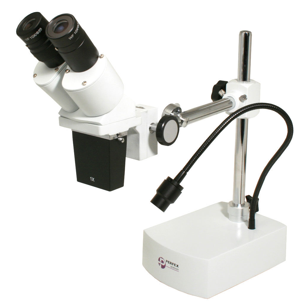 Loupe binoculaire observation d'insectes - Achat/Vente