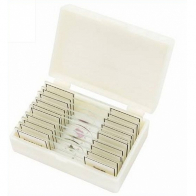 Coffret 10 lames préparées Biologie