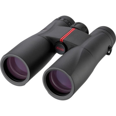 Jumelles KOWA SV 8x42 DCF
