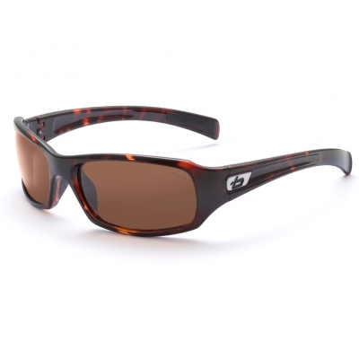 Lunettes solaire BOLLE Phoenix Dark Tortoise Polarized