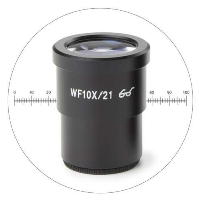 Oculaire Gradué EUROMEX 10x/21mm StereoBlue