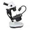 Loupe Binoculaire de Gemmologie EUROMEX NexiusZoom EVO 6.5-55x LED Loupe Binoculaire de Gemmologie EUROMEX NexiusZoom EVO 6.5-55x LED