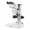 Loupe Binoculaire EUROMEX DZ 8-50x Tête Ergonomique LED