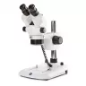 Loupe Trinoculaire EUROMEX StereoBlue Zoom 7-45x COL-LED Loupe Trinoculaire EUROMEX StereoBlue Zoom 7-45x COL-LED