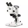 Loupe Binoculaire EUROMEX StereoBlue EVO Zoom 5-55x CRE Loupe Binoculaire EUROMEX StereoBlue EVO Zoom 5-55x CRE