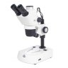 Loupe MOTIC SMZ161 Trino LED Loupe MOTIC SMZ161 Trino LED