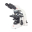 Microscope Binoculaire MOTIC BA310 1000x LED